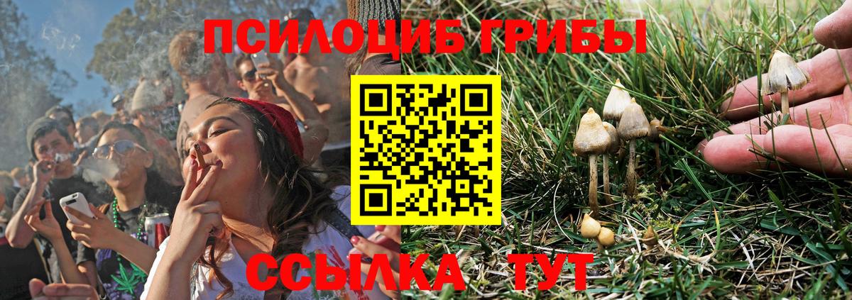 Галлюциногенные грибы GOLDEN TEACHER Барабинск