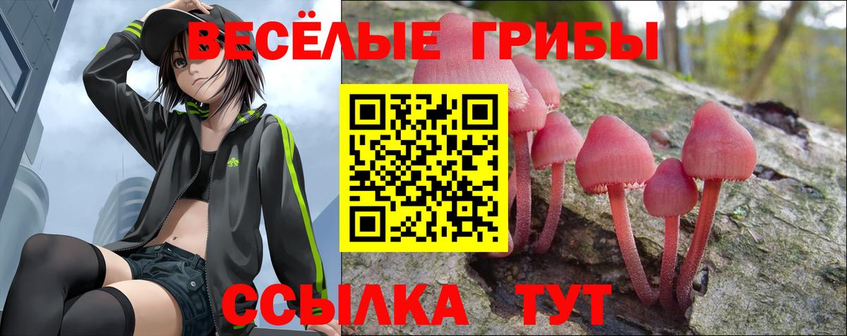 Псилоцибиновые грибы прущие грибы  Вход с VPN  Галлюциногенные грибы MAGIC MUSHROOMS  Барабинск 